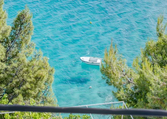 Deluxe Seaview Kennedy Ii * Mimice