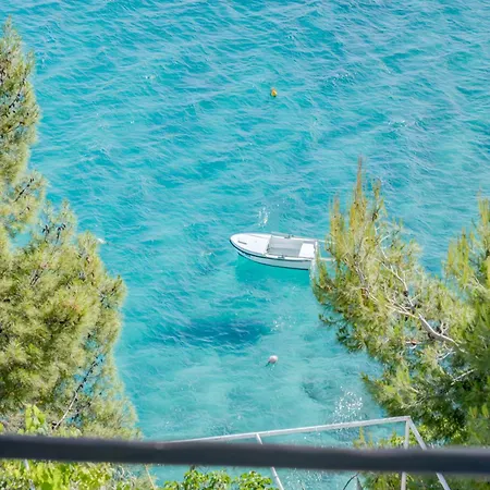 Deluxe Seaview Kennedy Ii * Mimice